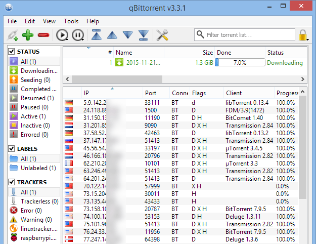 Perdita IP per peer torrent